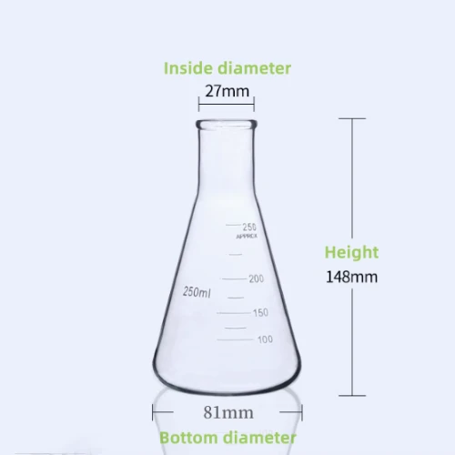 Conical Flask Erlenmeyer